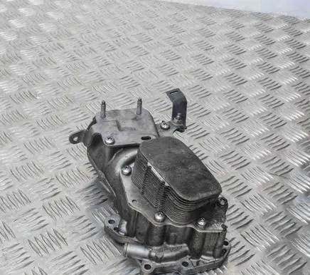Citroen C4 II Oil filter cover 9687847480