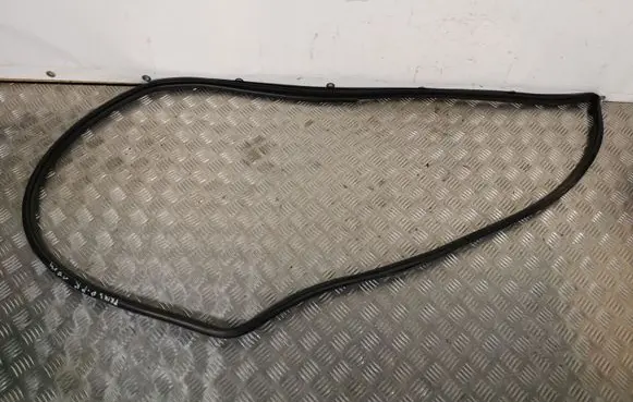 Toyota Prius (XW50) Front door rubber seal PRIUS17GUMADPPR