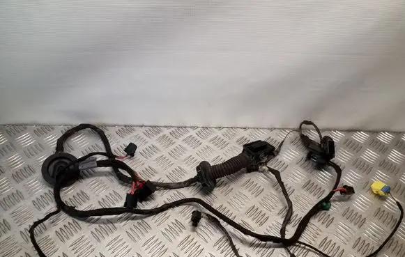 Front door wiring loom