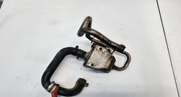 Renault Laguna I EGR valve 72184611