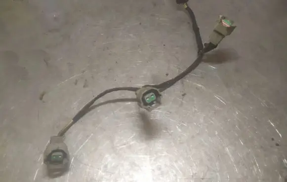 Hyundai Santa Fe Fuel injector wires 