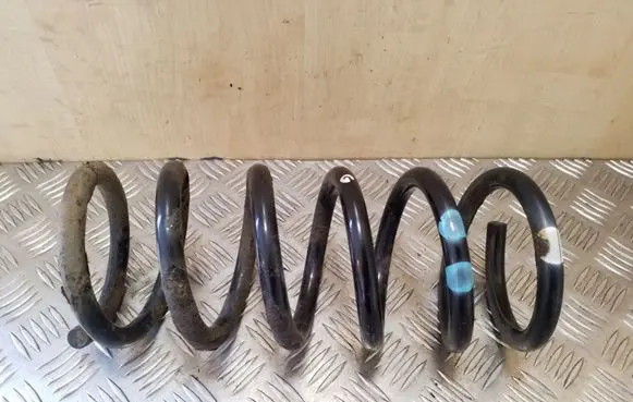 Opel Antara Rear coil spring
