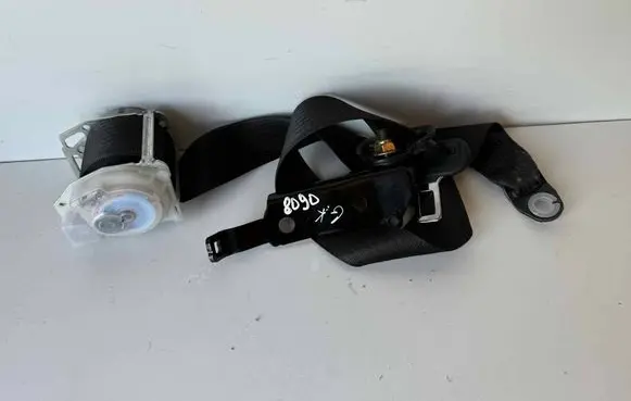 Tesla Model S Rear seatbelt 102313605D 2456529AE