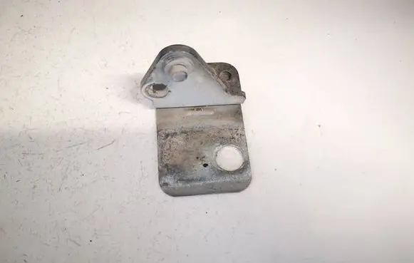 Rear door lower hinge