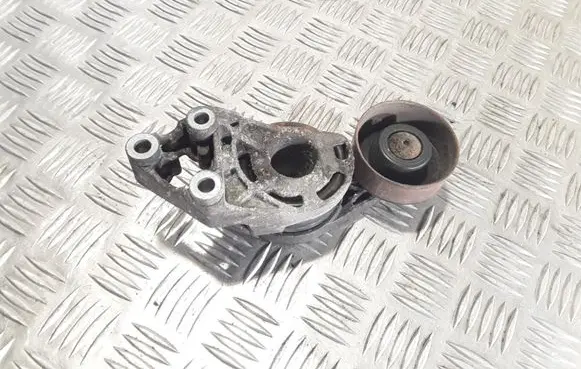 Volkswagen Polo IV 9N3 Generator/alternator belt tensioner