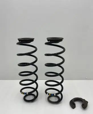 Rear coil spring