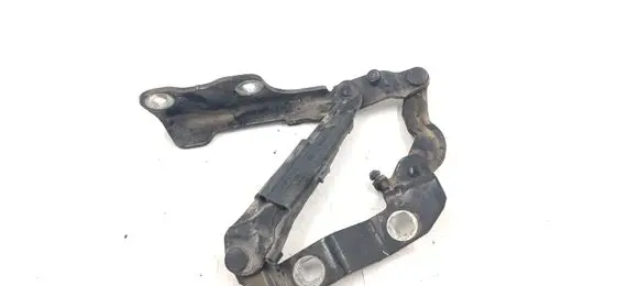 Volkswagen New Beetle Engine bonnet/hood hinges 1C0955757C