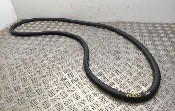 Peugeot 308 Front door rubber seal