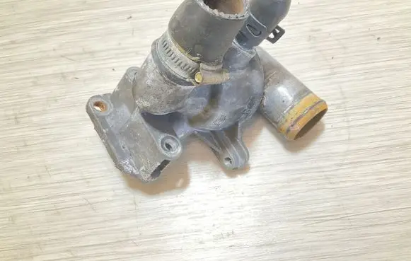 Thermostat/thermostat housing