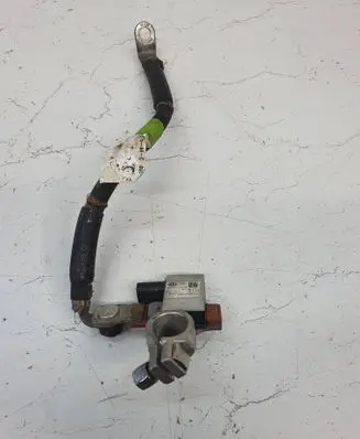 Tesla Model S Other wiring loom 10R036177