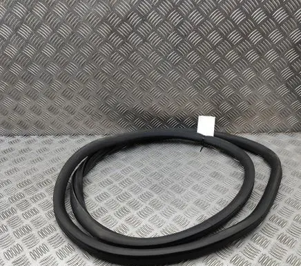 Peugeot 508 II Rubber seal front coupe door 9813387680