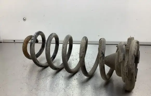 Nissan Qashqai Rear coil spring 