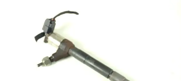 Opel Mokka Fuel injector 55570012