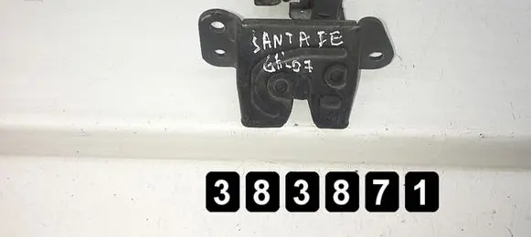 Hyundai Santa Fe Front door lock 812302B000