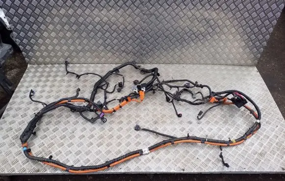 Opel Ampera Other wiring loom 22853974