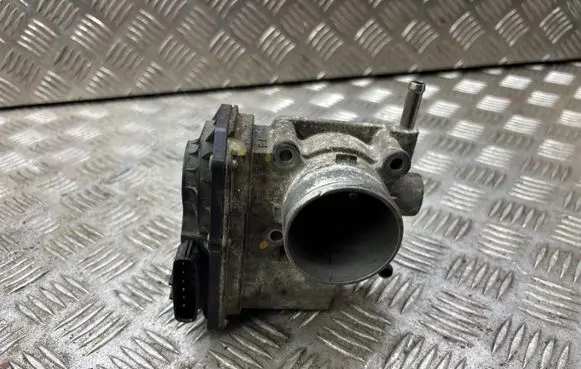 Nissan Pixo Throttle valve 00393