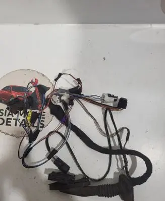 Front door wiring loom