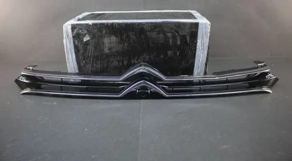 Citroen C5 X Other exterior part 9839785180