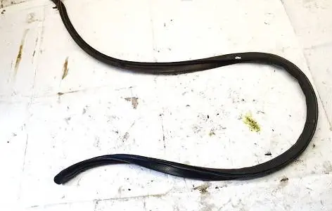 Renault Zoe Rubber seal front coupe door 