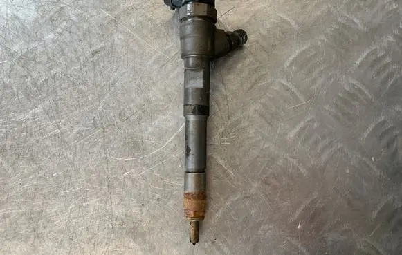Renault Kangoo II Fuel injector 8201108033 0445110485 H8201108033