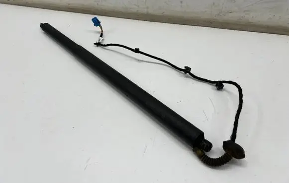Tailgate/trunk strut/damper