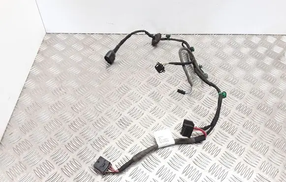 Volkswagen Phaeton Rear door wiring loom 3D0971694BF