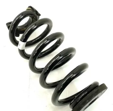 Front coil spring