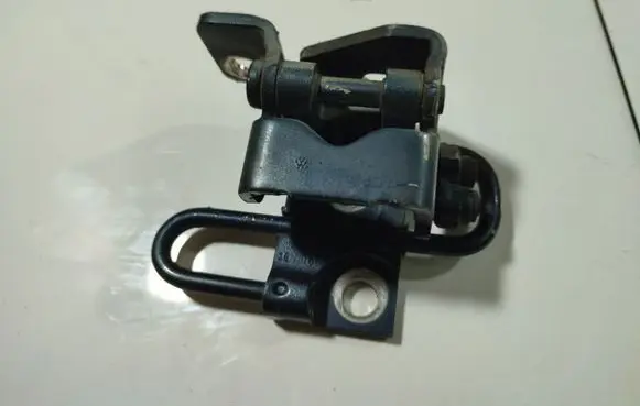Rear door lower hinge