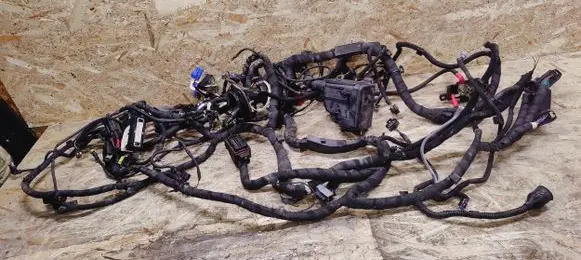 Alfa Romeo Giulia Wiring harness 50548835 00505488350
