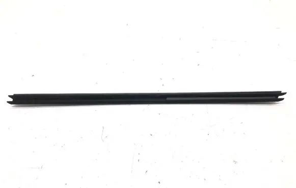 BMW X3 F25 Front door glass trim molding 7205717
