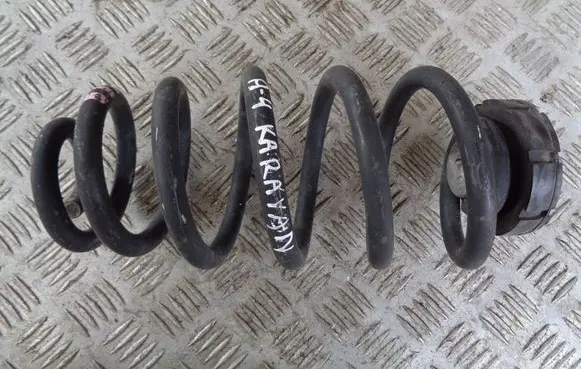 Rear coil spring