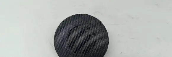 Panel speaker