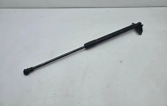 Tailgate/trunk strut/damper