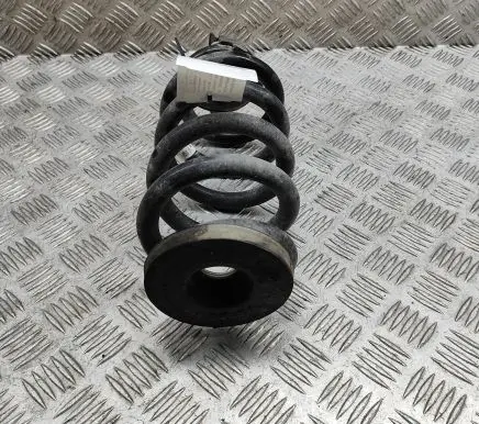 Skoda Enyaq iV Rear coil spring 1EA511103J