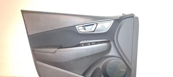 Hyundai Kona I Door card panel trim set M0110J9040 M0110J9040TY