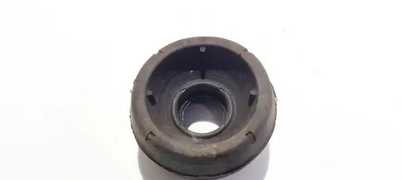 Coil spring mount