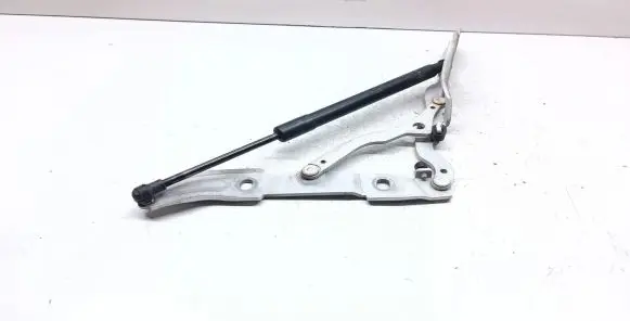 BMW 1 E82 E88 Tailgate/trunk/boot hinge 7166751