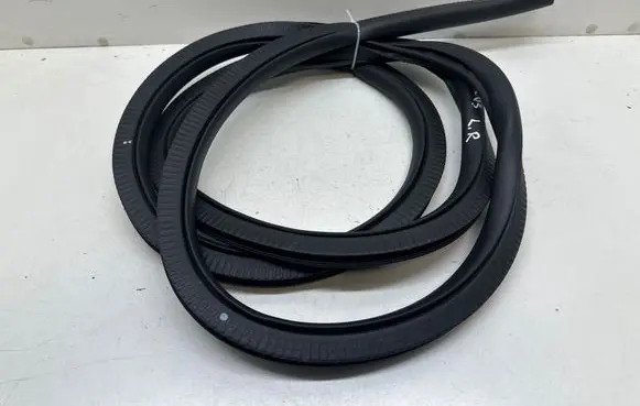 Ford Focus Rear door rubber seal (on body) 