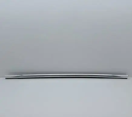 Ford Focus Rear door glass trim molding 