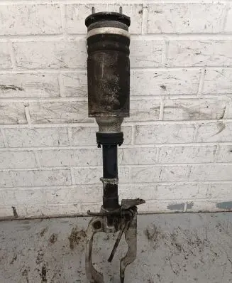 Land Rover Range Rover Sport L494 Front shock absorber/damper E4BB5Z036A0