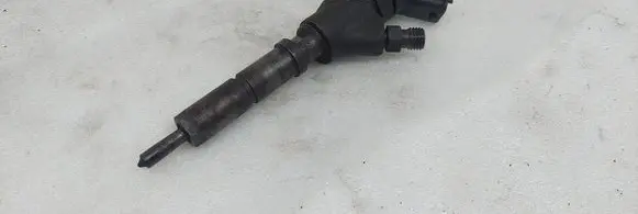 Citroen C5 Fuel injector 9640088780 0445110062