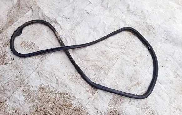 Volkswagen PASSAT B6 Rubber seal rear door 