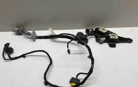 Cadillac CTS Front door wiring loom 25852755