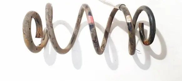 Rear coil spring