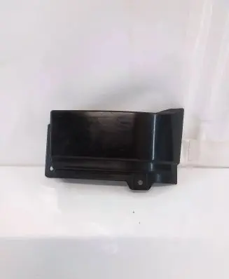 Rear/tail light trim molding