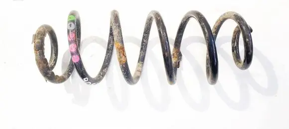 Rear coil spring