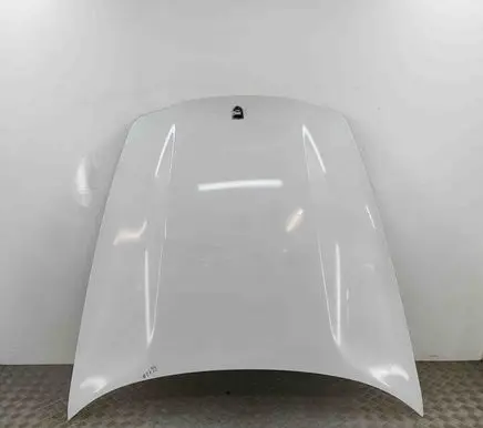 Engine bonnet/hood