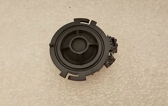 Front door high frequency speaker