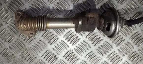 Volkswagen PASSAT B5 EGR valve 028131501e 7.21723.02
