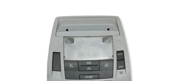 Lexus RX 450H Front seat light 1D111084G 1D111088G